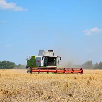 Вирощування зерна Украгрохолдинг